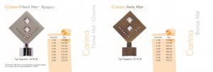 Τέρματα Carina