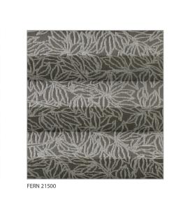 Fern-21500