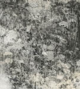 MS-3-0361-DIM