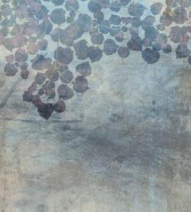 MS-3-0367-DIM
