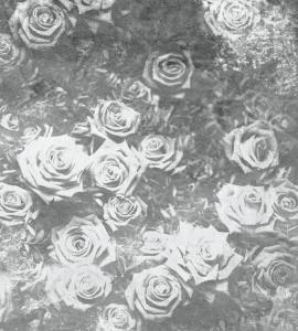 MS-3-0378-DIM
