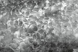 MS-5-0355-DIM