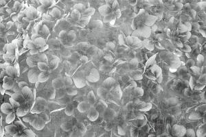MS-5-0356-DIM