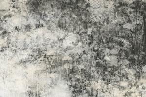 MS-5-0361-DIM