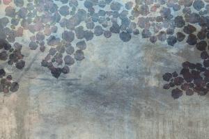 MS-5-0367-DIM