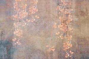 MS-5-0379-DIM