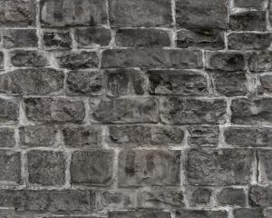 WP-157-01-DIM