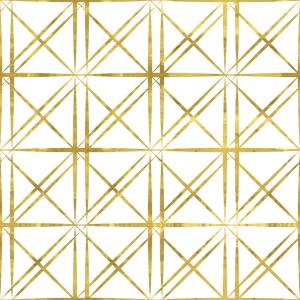 WP-199-01-DIM