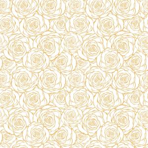 WP-204-01-DIM