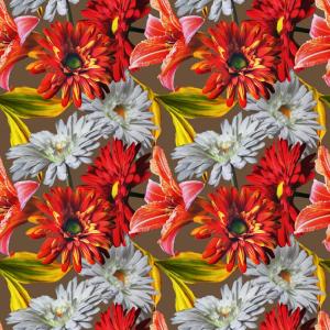 WP-216-01-DIM