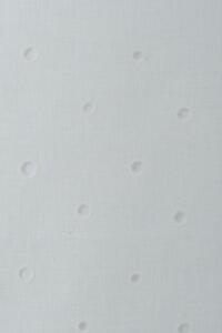 6741211-01 punctum natur