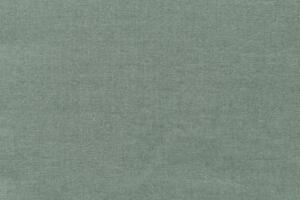 8202687-01 benefit green tea