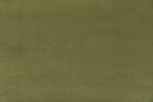 9403309-19 forte pine green
