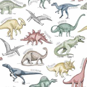 DINOSAUR PREHISTORIC